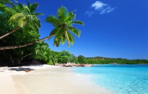 Белоснежный пляж на Сейшелах