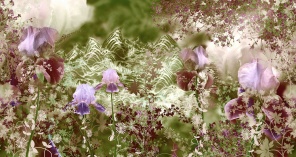 Фиолетовые ирисы на фоне лесной растительности