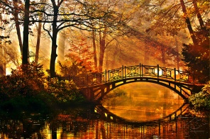 Горбатый мостик в красивом осеннем саду