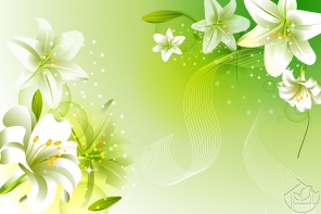 Лилии на зеленом фоне