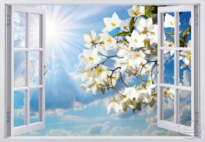 Ветка с цветами в распахнутом окне