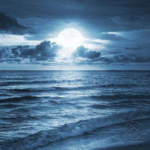 Ночное море в свете луны