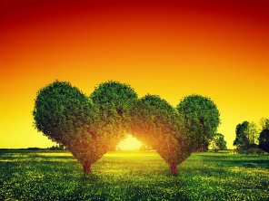 Закат между двух деревьев в виде сердца