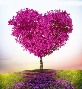 Образ сердца в дереве