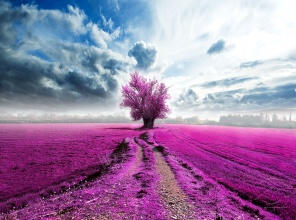 Дерево счастья на розовом поле