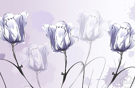Нежный рисунок Тюльпанов