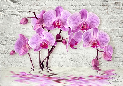 Кирпичная стена с орхидеями