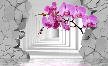 Поворот в тоннеле и Орхидеи