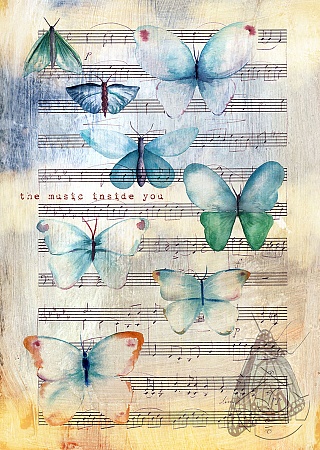 Бабочки на нотах