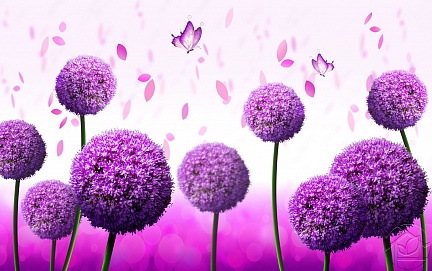 Бабочки над фиолетовыми одуванчиками