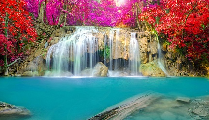 Радужные деревья у водопада
