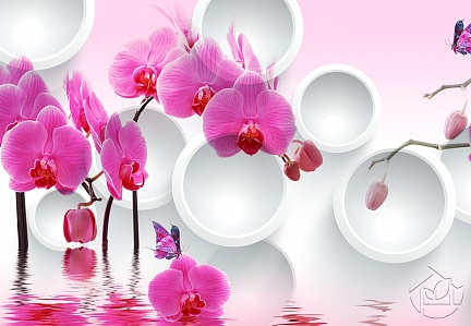 Орхидеи с кругами на воде 