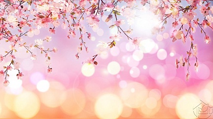 цветущее дерево в бликах солнечного света