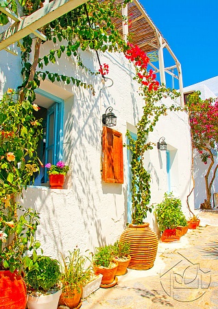 Белый греческий домик с цветами