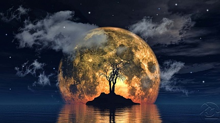 Ствол дерева на фоне луны