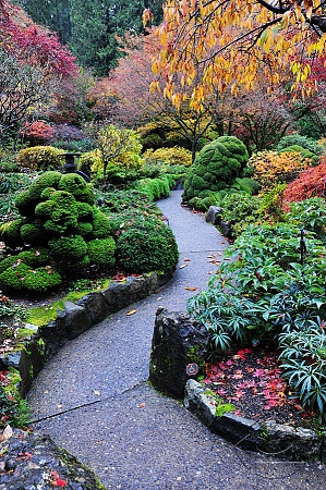 Прогулочная дорожка в японском саду