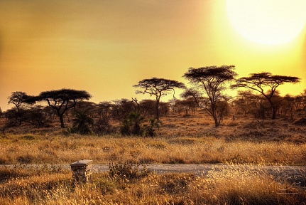 Африканский парк в Танзании
