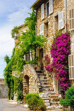 Красивый дом в цветах