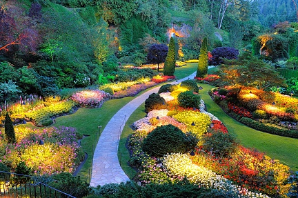 Красивый японский сад с подсветкой