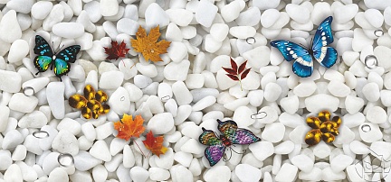 Бабочки на камнях