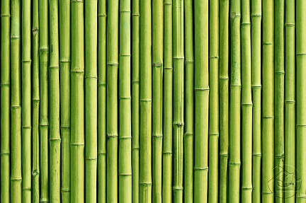 Фон из бамбуковых стеблей