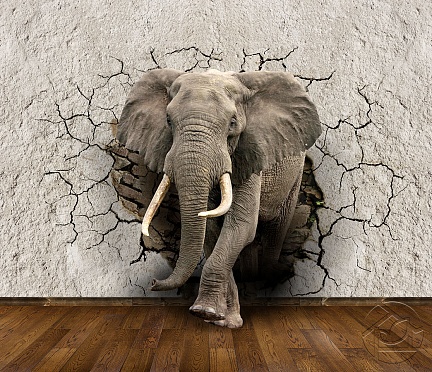 Слон на фоне 3D бетонной стены