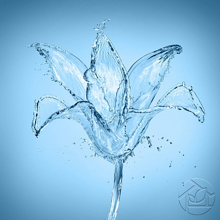Хрустальная лилия с каплями воды