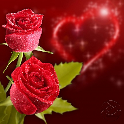 Алые розы с любовью