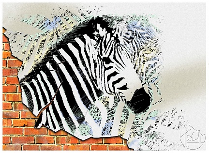 Рисунок зебры