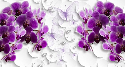 Орхидеи с алмазами 