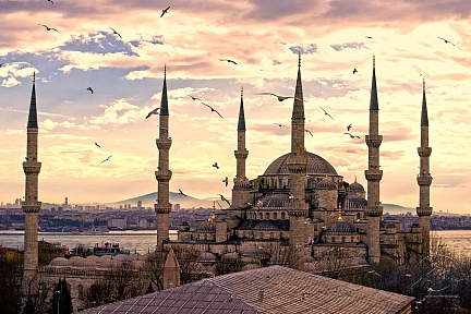 Красивый закат с чайками над Голубой мечетью в Стамбуле