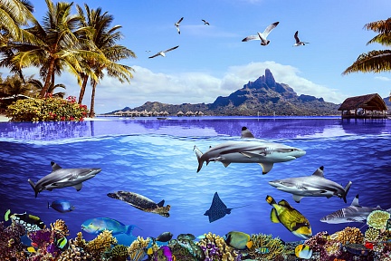 Остров Бора-Бора и его подводный мир