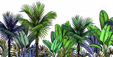Фон с рисунком верхушек пальм