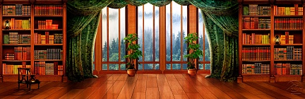 Панорамные окна в домашней библиотеке