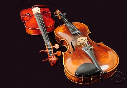 две скрипки