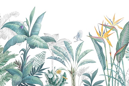 Рисунок тропических растений