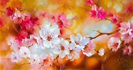 цветение вишни