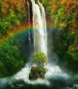 Радуга над дереом у водопада