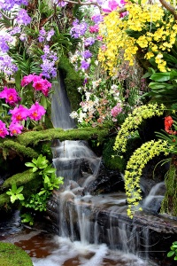 Садовый водопад среди цветущей зелени