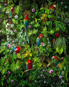 Красивые попугаи в тропиках