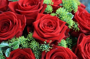 Букет красных нежных роз