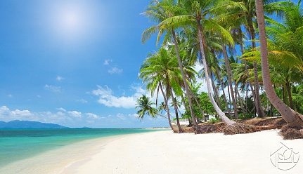 Белоснежный пляж с пальмами